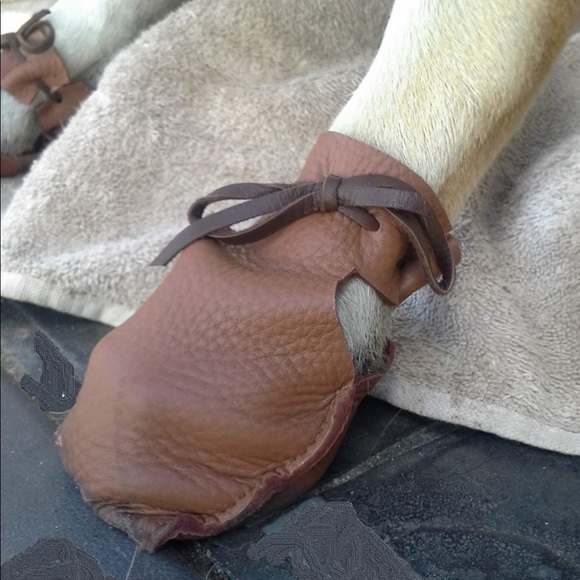 NWT Dog Mocs - Picture 2 of 9